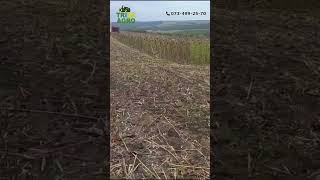 Elibol FreeSun 880 sunflower header for sale - Image 4 | Agronetto UG Elibol FreeSun 880 sunflower header | Image 4 - Agronetto