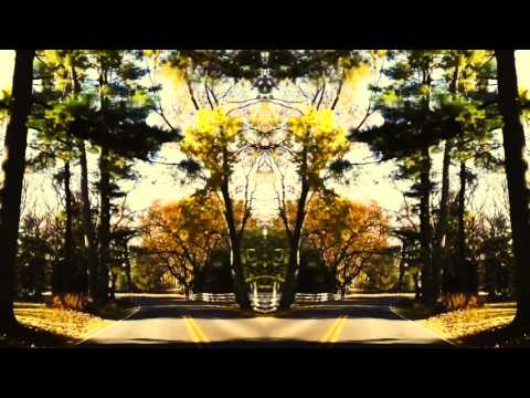 Vndl. - like a bean (Prod. Vndl.)