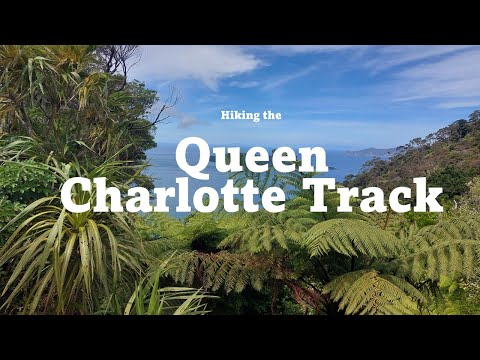 Críticas/acesso/horário de funcionamento da pista Queen Charlotte | Picton