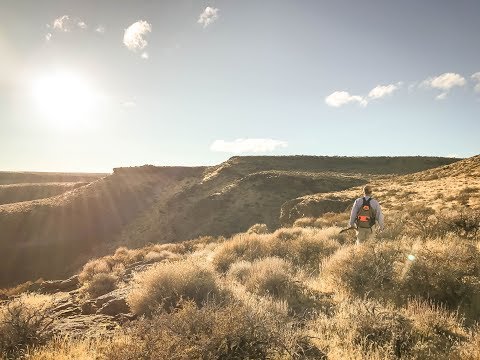 Idaho Mountain Birds | The Flush: Season 9, Episode #4