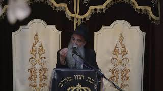הרב מאיר דוד שמואלי - פרשת חקת
