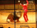 Alex Lacey Tickles A Lion