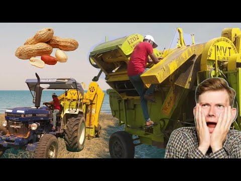 NVT  Threshing with farmatrac #tractor #groundnut #seed #groundnutoil #farming
