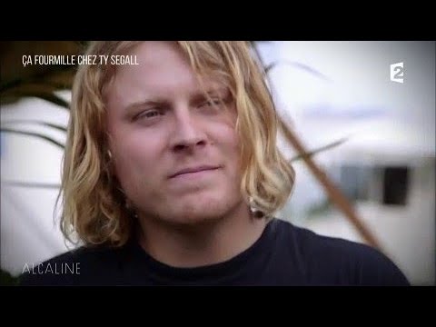 Alcaline, Les News du 5/09 - Ça fourmille chez Ty Segall