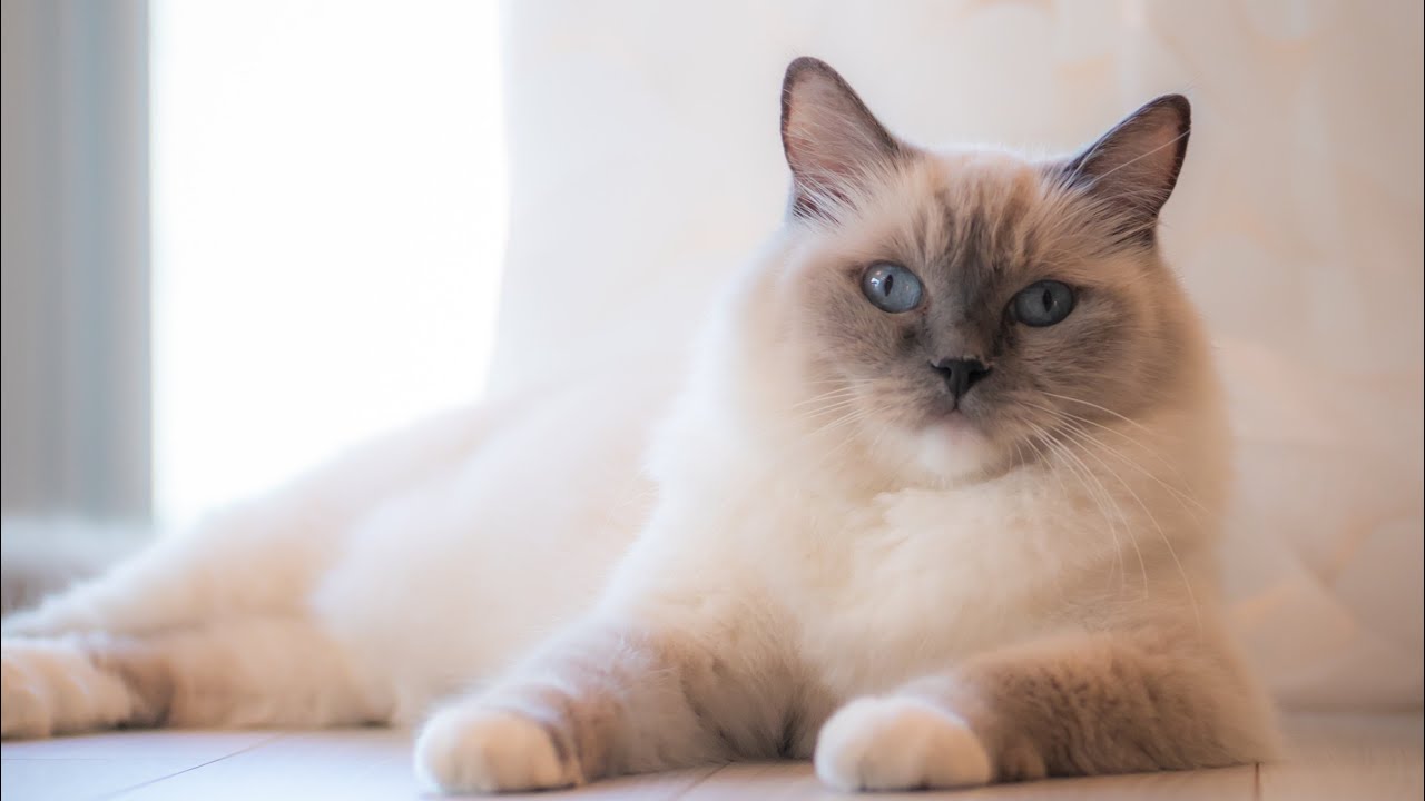 おはようございます☀喋れなくなるのは、言うなってことよー！！