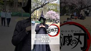 【ショート動画】鬼滅の刃 一緒に花見したいランキング《あきと編》 #fyp #おすすめ #demonslayer  #鬼滅の刃 #anime #無限城編 #刀鍛冶の里編 #無限列車編 #花見 #春