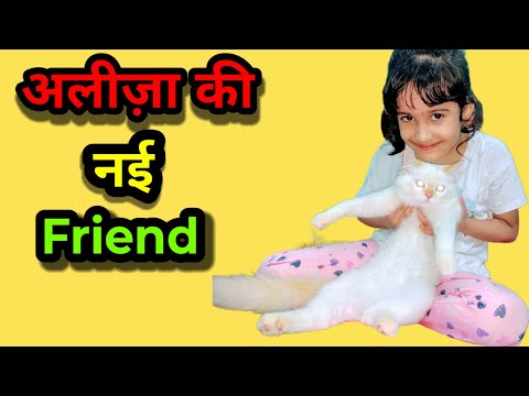 Aleeza Playing With Cat 🐱 | Cute Cat & Baby l Talking | Kids Aleeza Show | Funny Cat Video for Kids