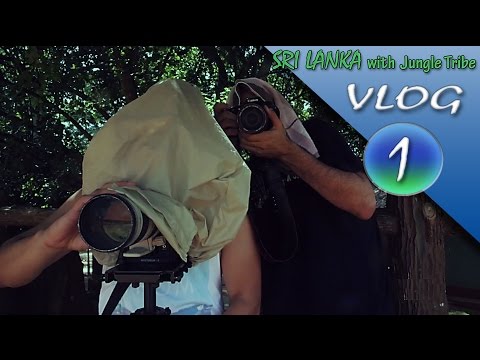 VLOG 1 - Sri Lanka & Expedition on Elephants