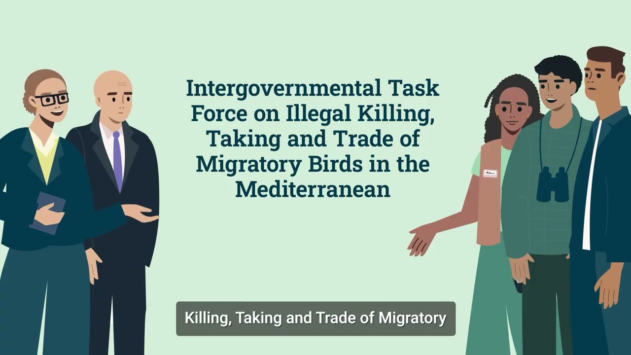 MIKT: Protecting migratory birds in the Mediterranean