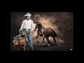 The Drifter - Neil Diamond