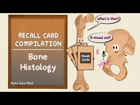 Bone histology Recall Card Compilation | Histology | Byte Size Med Recall Cards