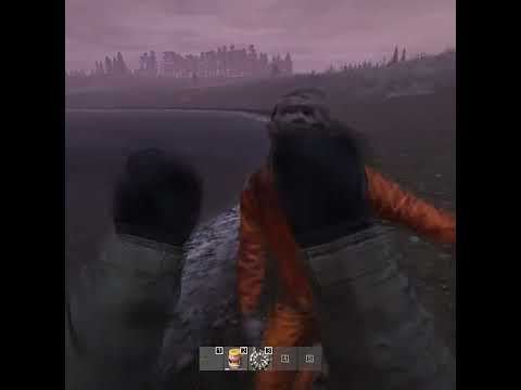 I wasn’t done looting your body, sir.. #DayZ #Namalsk #Survival #youngShiva