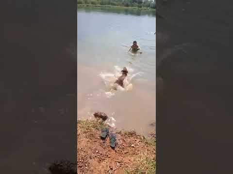 Vídeo de Zeus 