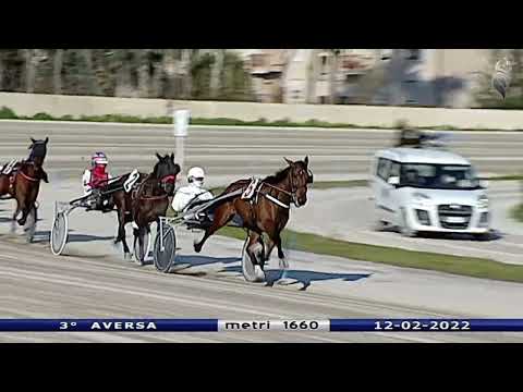 Aversa trotto 12 Febbraio 2022 - 3° Corsa