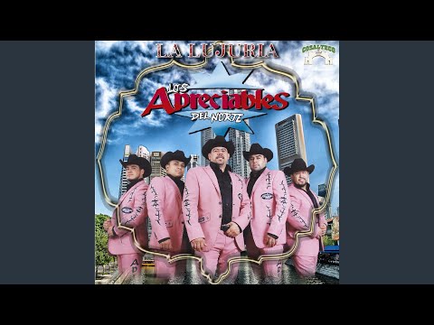 No Puedo Olvidarme de Ti