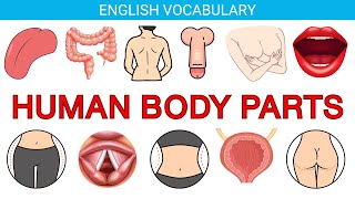 🧠 Master 145 Human Body Parts in 17 Minutes | English Vocabulary with Pictures & Exercises