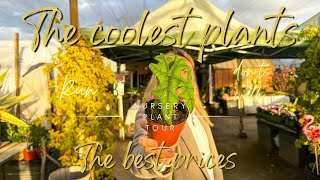 I Promise These are the Best Plant Deals in Town…