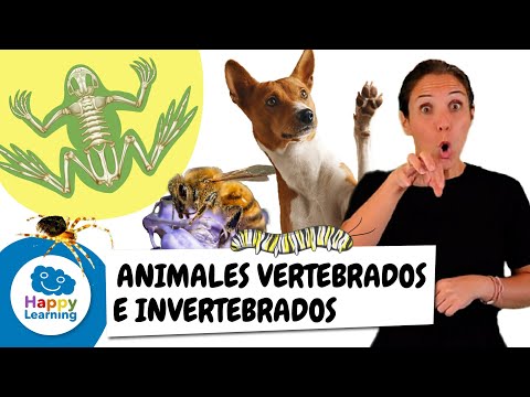 Animales Vertebrados e Invertebrados en Lengua de Signos | Happy Learning 🐟🐌✨