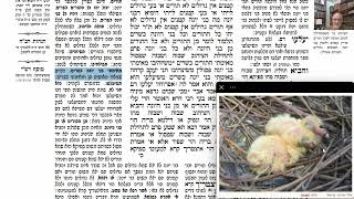 דף יומי מסכת חולין דף כב Daf yomi Masechet Chulin page 22  ע"י יוני גוטמן (שיעורי הדף היומי ב-20 דקות – מועבר ע"י ר' יוני גוטמן – לעילוי נשמת אביו ר' אלימלך צבי (צביקה) גוטמן ז"ל) - התמונה מוצגת ישירות מתוך אתר האינטרנט יוטיוב. זכויות היוצרים בתמונה שייכות ליוצרה. קישור קרדיט למקור התוכן נמצא בתוך דף הסרטון