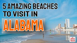 5 Amazing Beaches To Visit in Alabama