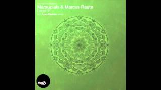 Marsupials & Marcus Raute - Lenord (Original Mix)