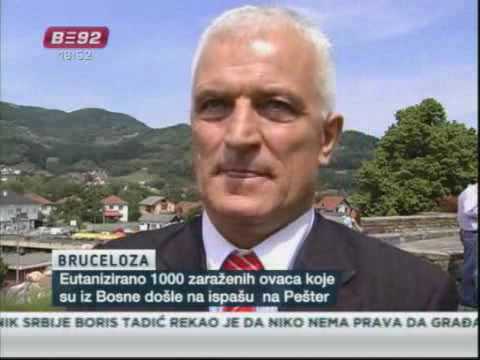 Eutanazija ovaca na Pešteru