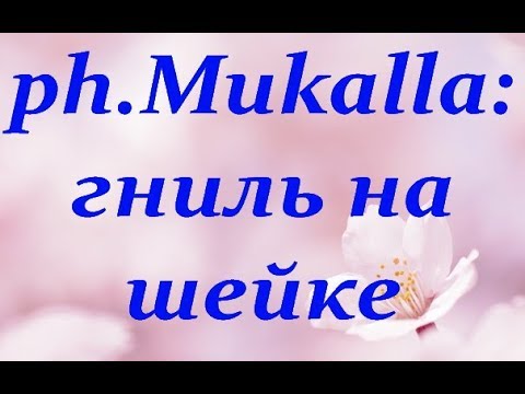 ОРХИДЕЯ phal.Mukalla:ГНИЛЬ на ШЕЙКЕ