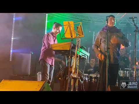 mosaico Indestructible - Son De Tikizia