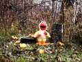Double Shotgun Elmo Death