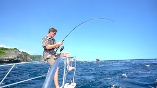 HARDEST FIGHTING FISH IN THE WORLD -- Pt. 4