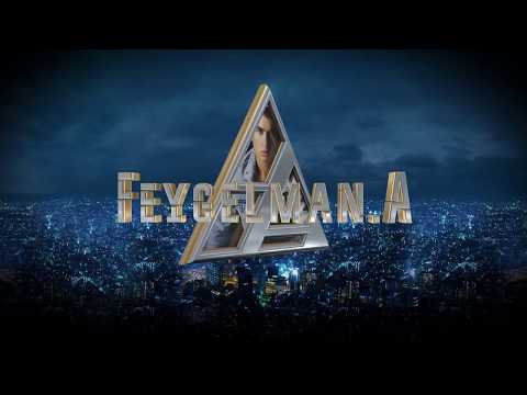 3D Logo Feygelman