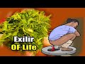 Colon cleanse 9 kilos of unpleasant waste constipation will come down | irritable bowel syndrome