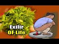 Colon cleanse 9 kilos of unpleasant waste constipation will come down | irritable bowel syndrome - everyday culture Colon cleanse 9 kilos of unpleasant waste constipation will come down | irritable bowel syndrome