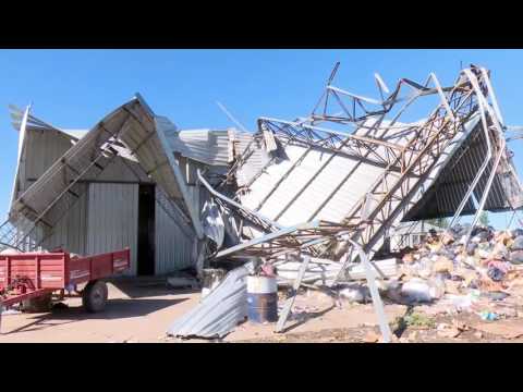 Galpones Cooperativa 7 de Febrero - Marcela Durán.