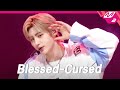 ENHYPEN(엔하이픈) - Blessed-Cursed (4K) | ENHYPEN COMEBACK SHOW 'MANIFESTO : DAY1' | Mnet 220704 방송