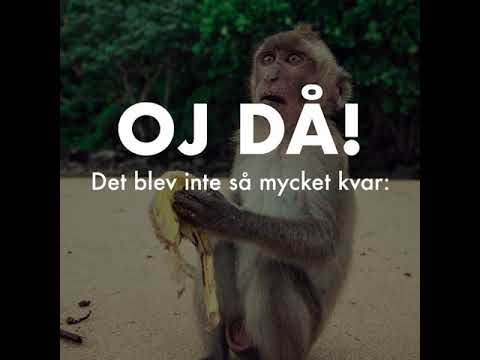 Hur funkar nya amorteringskravet?