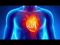 Zikr Allah  40 Minutes   That will clean your soul and heart