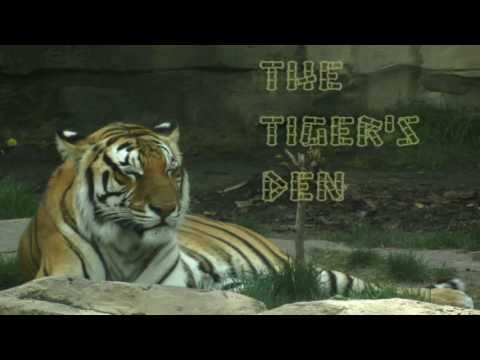 August 15th Power Trading Hour with David White on TFNN   2016