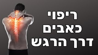 ד"ר ניר ברוש - ריפוי כאבים דרך עבודה רגשית