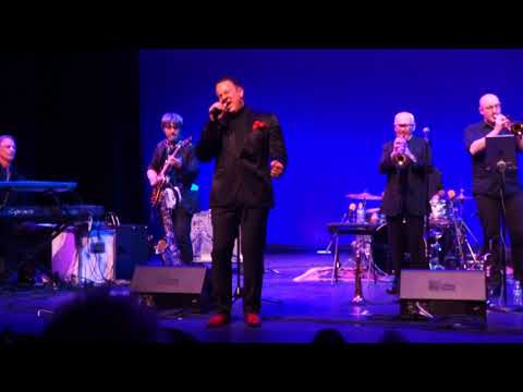 "Let's Stay Together" Greg Adams and East Bay Soul