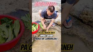 Download lagu Pa Ogi Makin Aneh! Dari Jadi Stopkontak Sampai Nyuci Pakai Air Gumbangan 😂 mp3 Download lagu Pa Ogi Makin Aneh! Dari Jadi Stopkontak Sampai Nyuci Pakai Air Gumbangan 😂 mp3