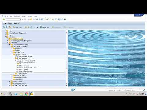 SAP CO-assessment cycle  (S/4HANA)
