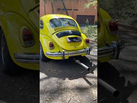 Fusca aspirado com rabo de tatu