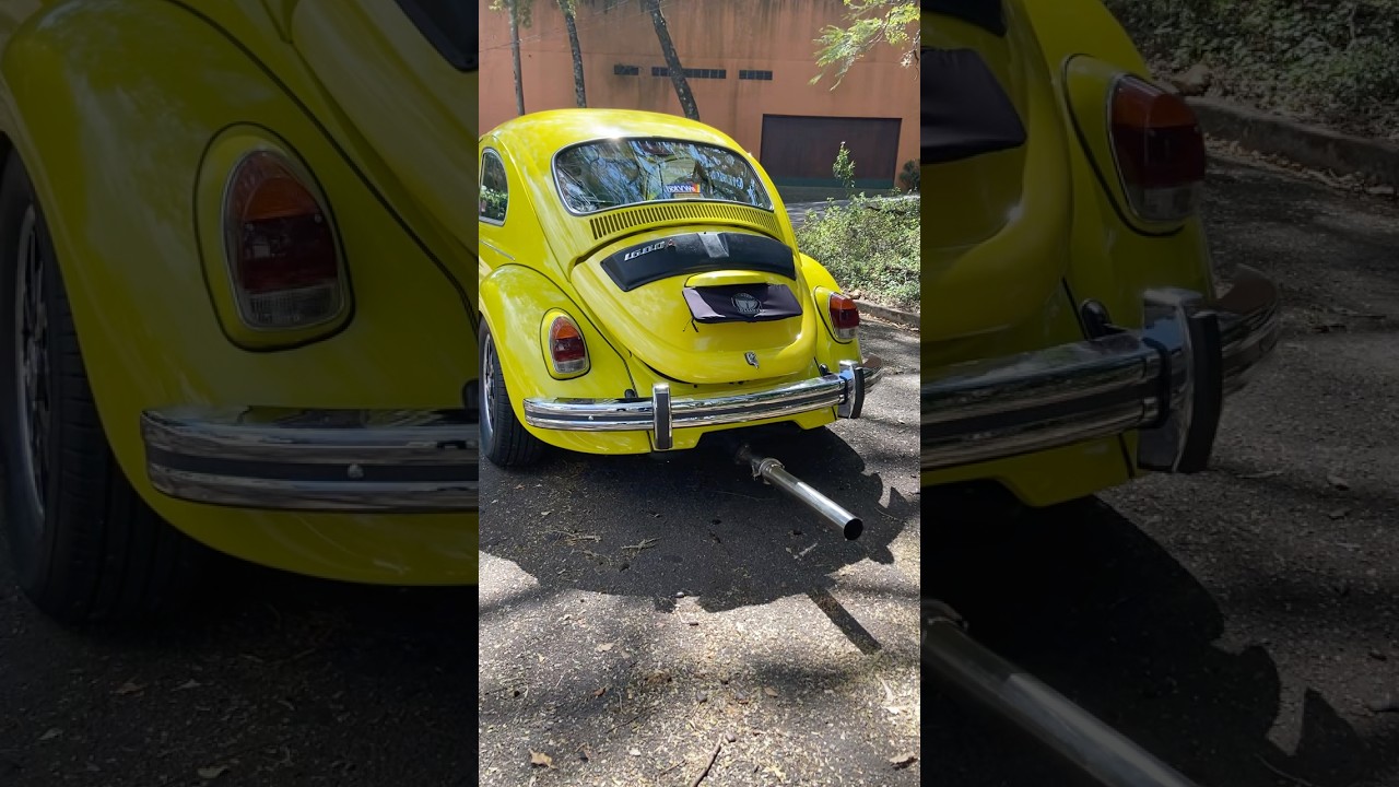 Fusca aspirado com rabo de tatu