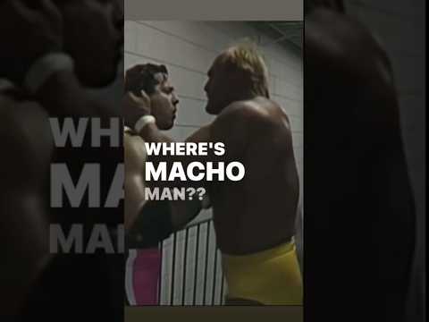 Hulk Hogan Manhandles Bret Hart + Shawn Michaels Looking For Macho Man @bladerope
