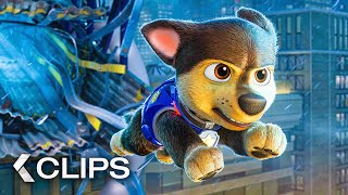 Trailer Preview Image