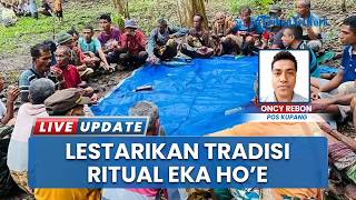 Adat Warga Desa Banuan NTT, Tetep Rutin Lestarikan Warisan Leluhur Lewat Ritual Eka Hoe