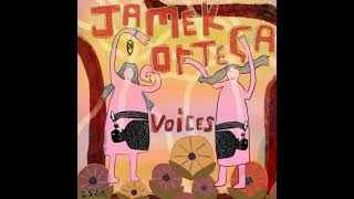 Jamek Ortega - Voices video