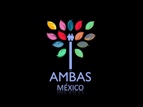 BRIGADAS ODONTOLÓGICAS NOLO YUCATÁN