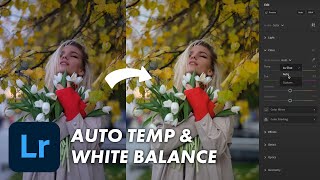 What is Auto Temperature & White Balance in Adobe Lightroom?